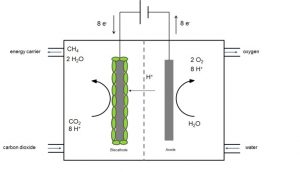 Scheme of MES