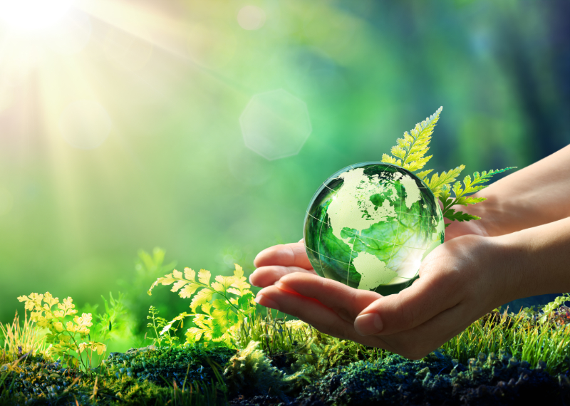 Hands Holding Globe Glass In Green Forest.