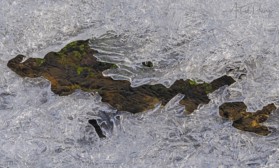 Frozen water on the surface of a clear small river
