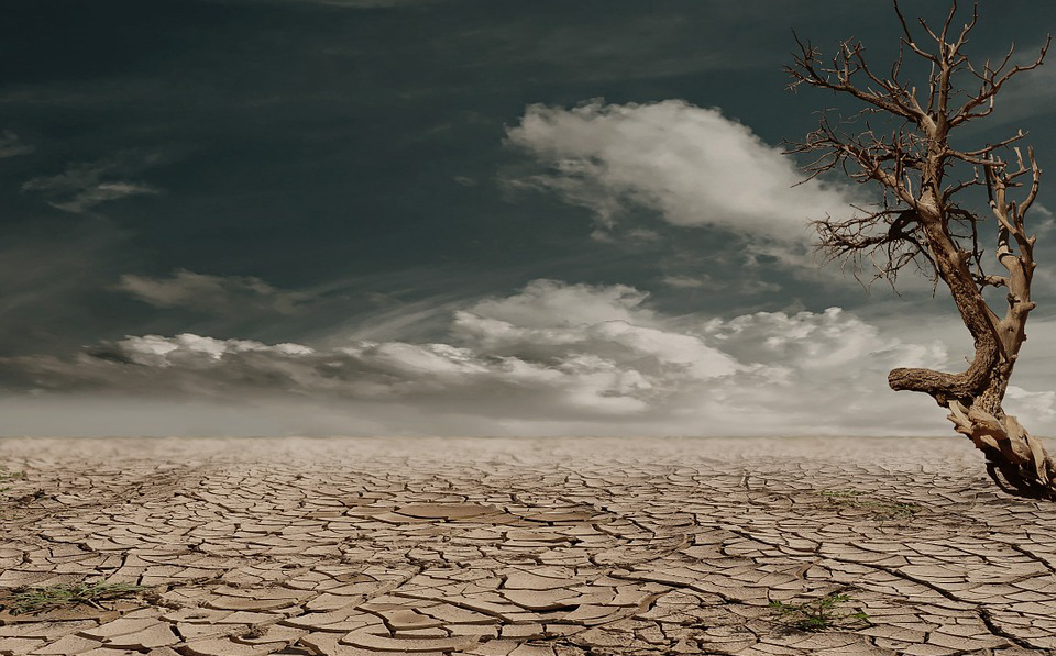 torn, dry desert-like land.