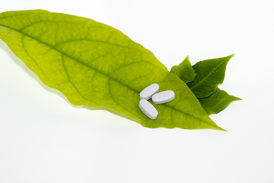 The picture shows pills on a leaf of a plant.