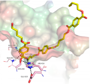 3D Rendering of a bio-polyester