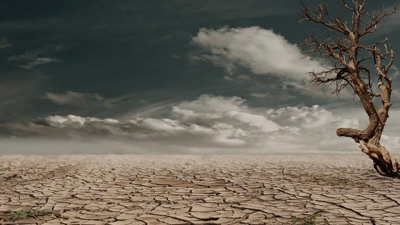 torn, dry desert-like land.
