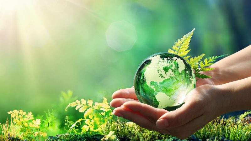 Hands Holding Globe Glass In Green Forest.