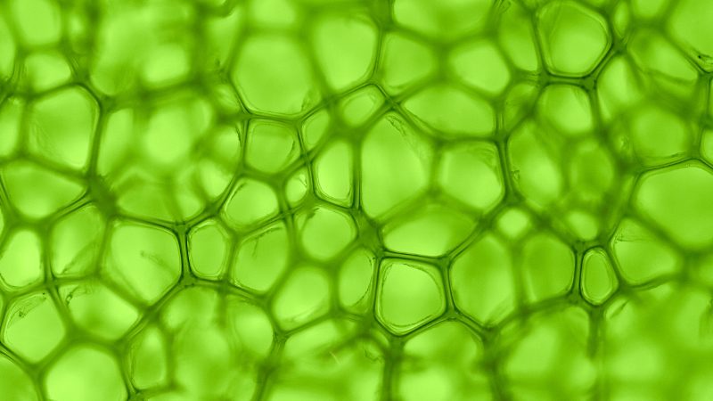 acib_open_innovation-pn0gwbmnm7mep6gvfoep1yj3d1ipxdg4q1xmb83d78